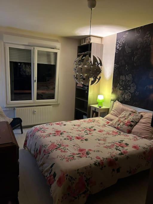 Charmant, Appartement, Parking Gratuit * Colmar