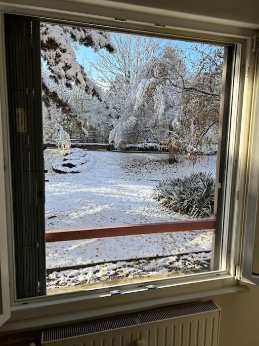 Charmant, Appartement, Parking Gratuit Appartement Colmar